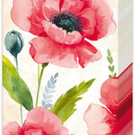 Boston International Pocket Tissue, Mohana - Cream