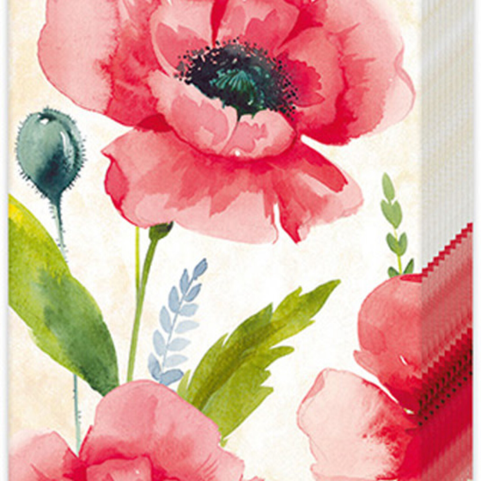 Boston International Pocket Tissue, Mohana - Cream