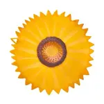 Charles Viancin Sunflower Lid 8" | Charles Viancin