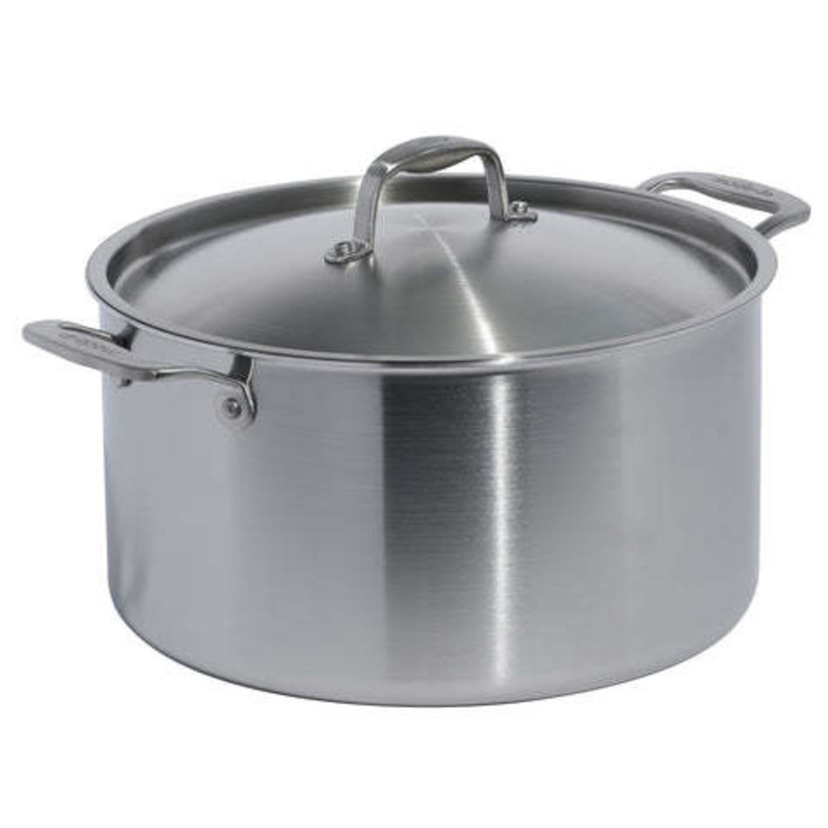Made In Stainless Clad 12 qt. Stock Pot with Lid | Made In