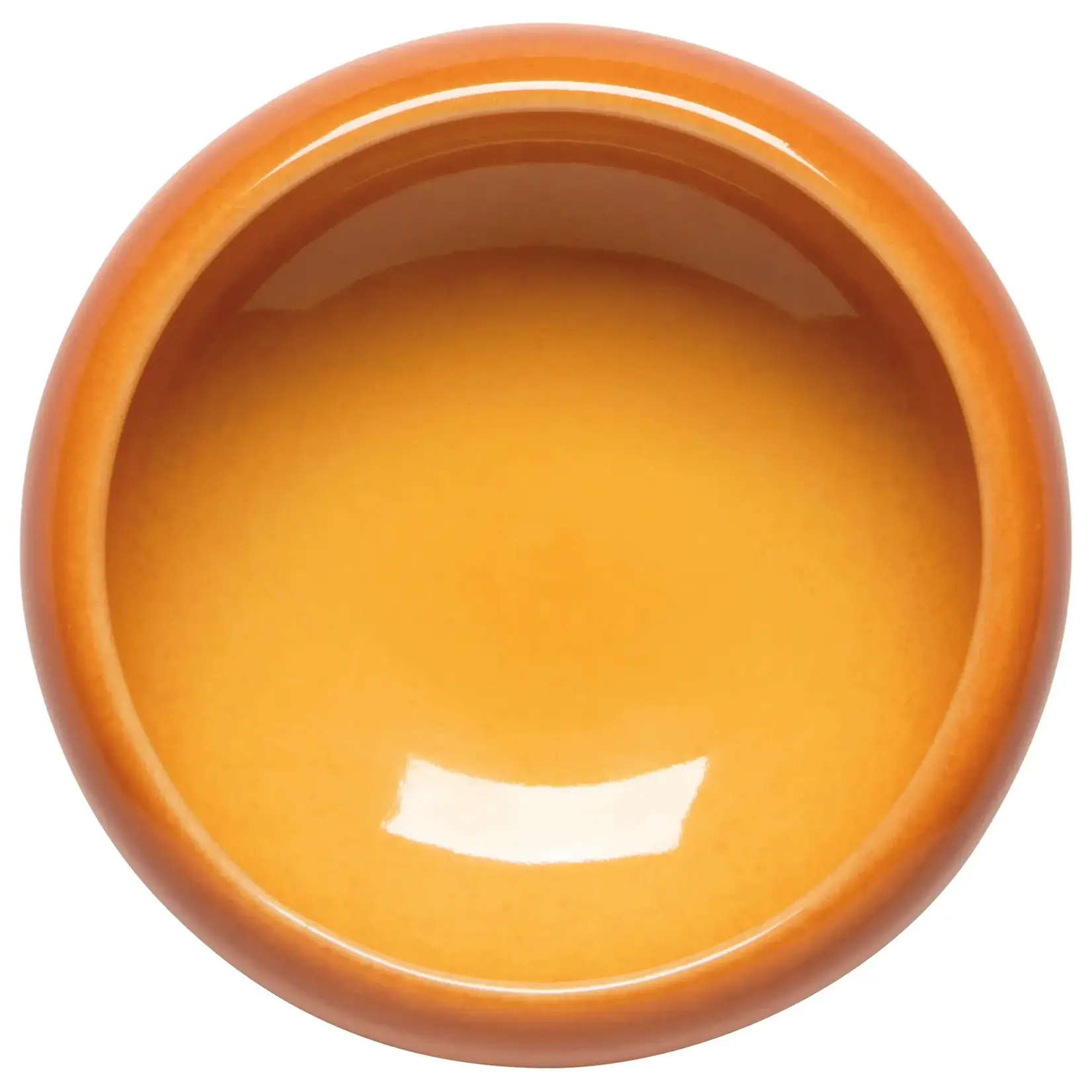 Danica Brands Dish - Opus Canyon