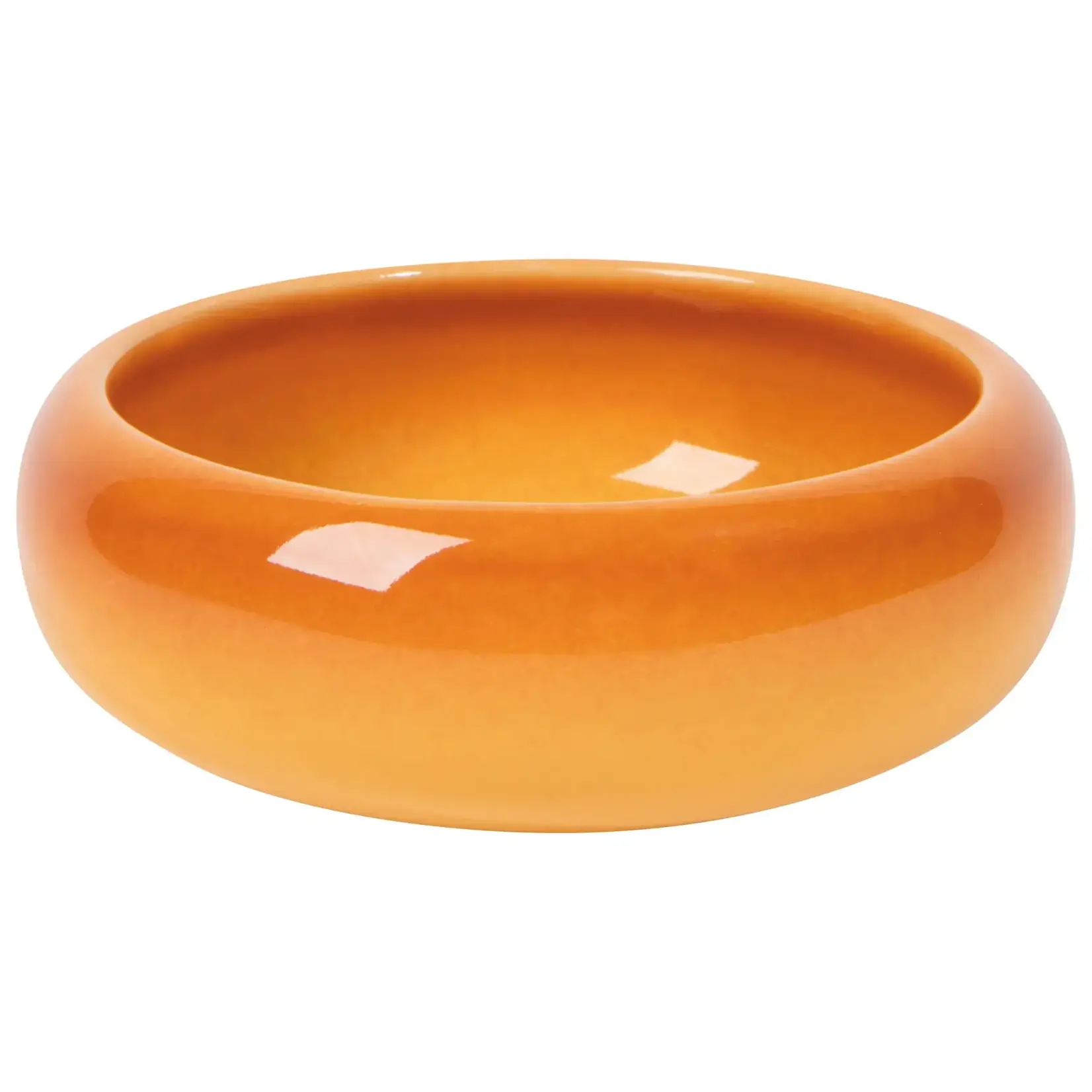 Danica Brands Dish - Opus Canyon