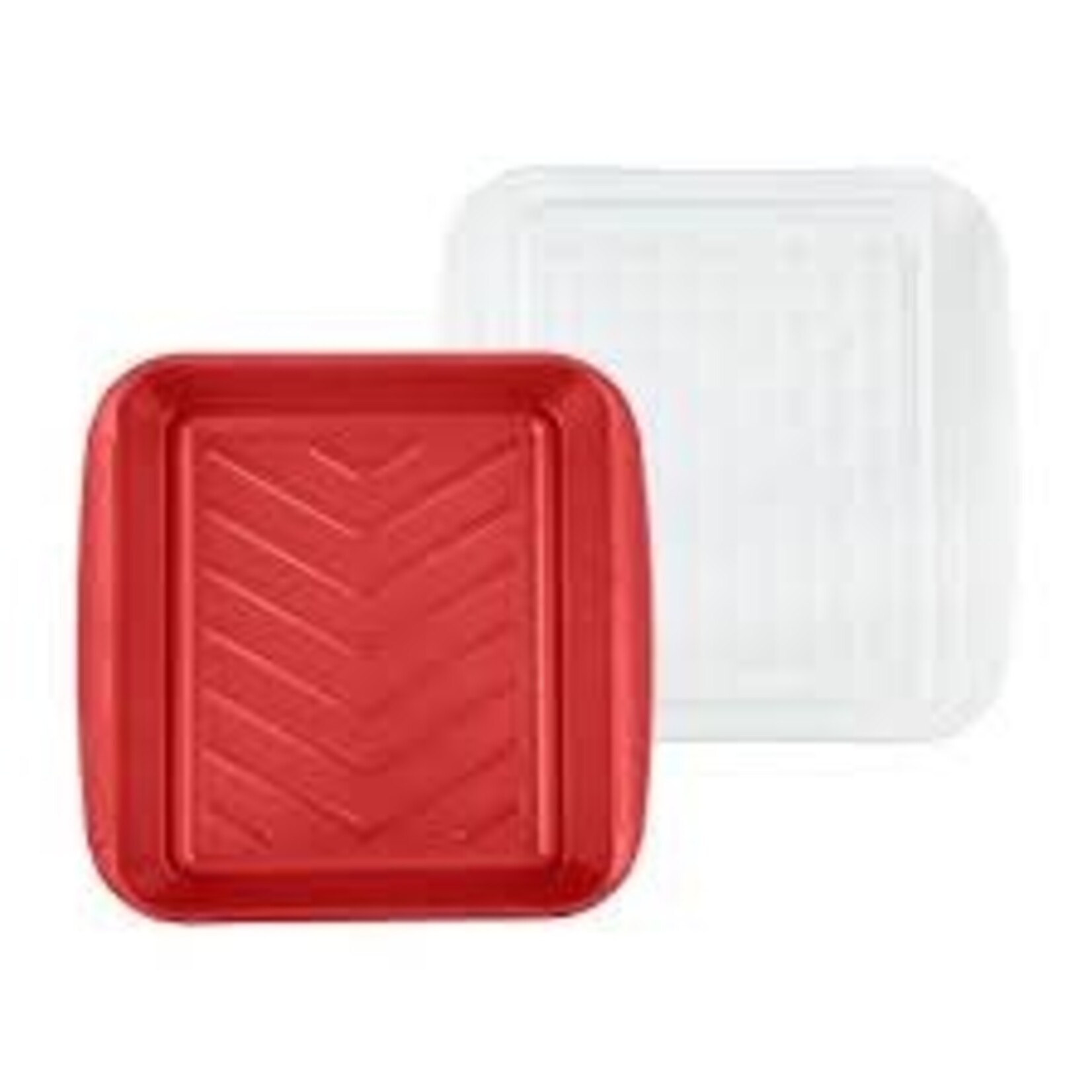 Tovolo Marinade Tray with Lid - 10.5" | Tovolo