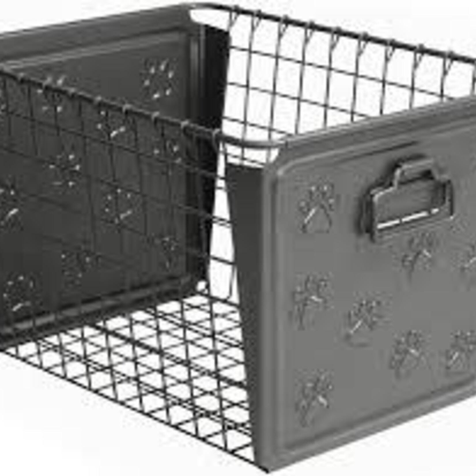 Spectrum Macklinª Basket - Large | Spectrum