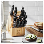 Zwilling 19-pc Knife Block Set | ZWILLING