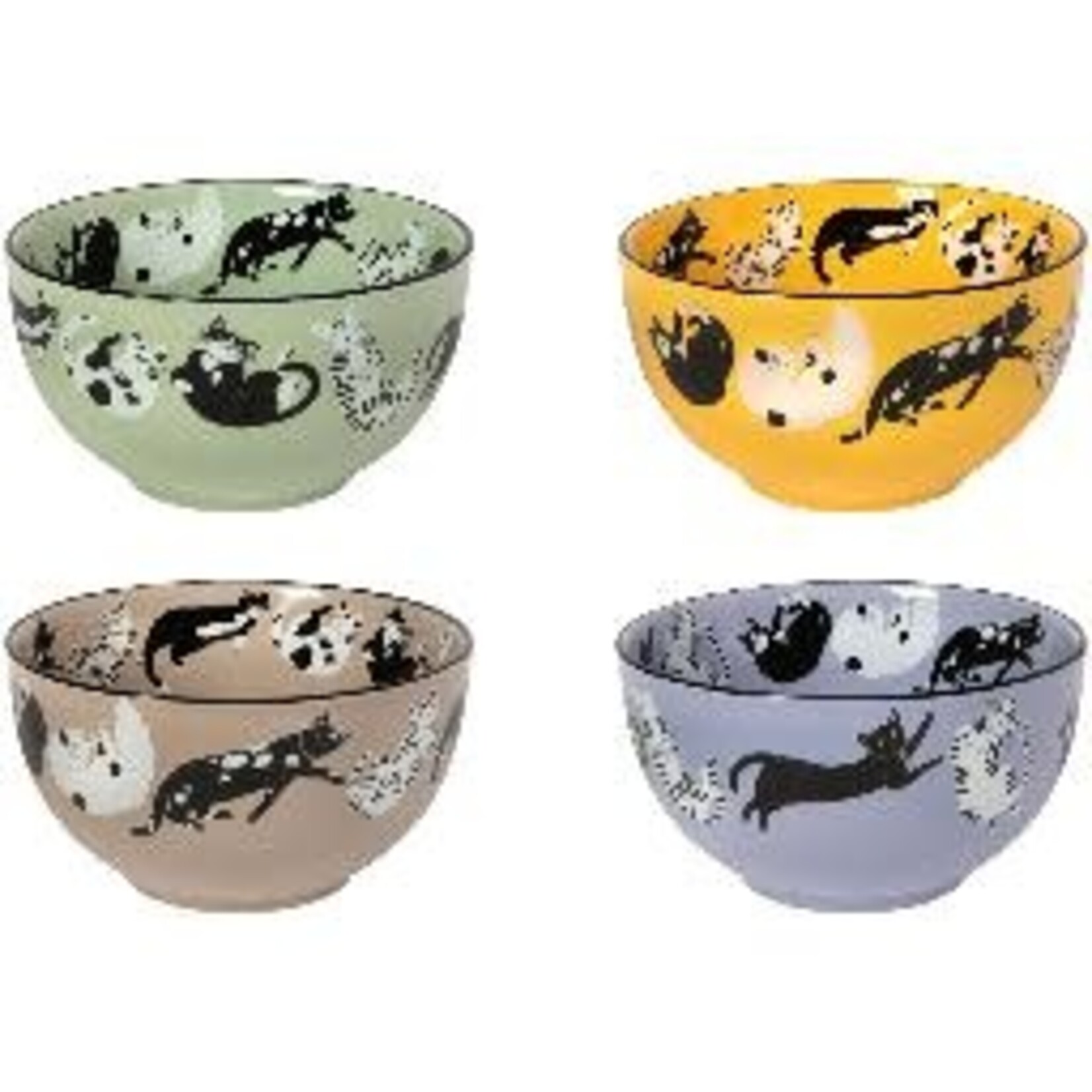 Danica Brands Meow & Furever Bowls Set of 4 Assorted | Danica Brands