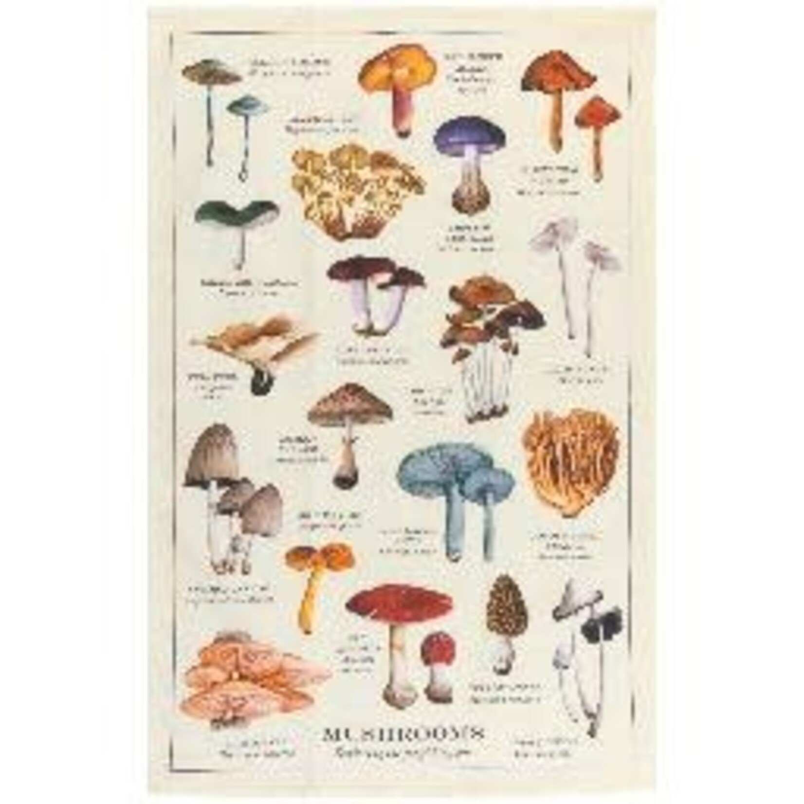 Danica Brands Dishtowel - Mushrooms Fine Print | Danica Brands