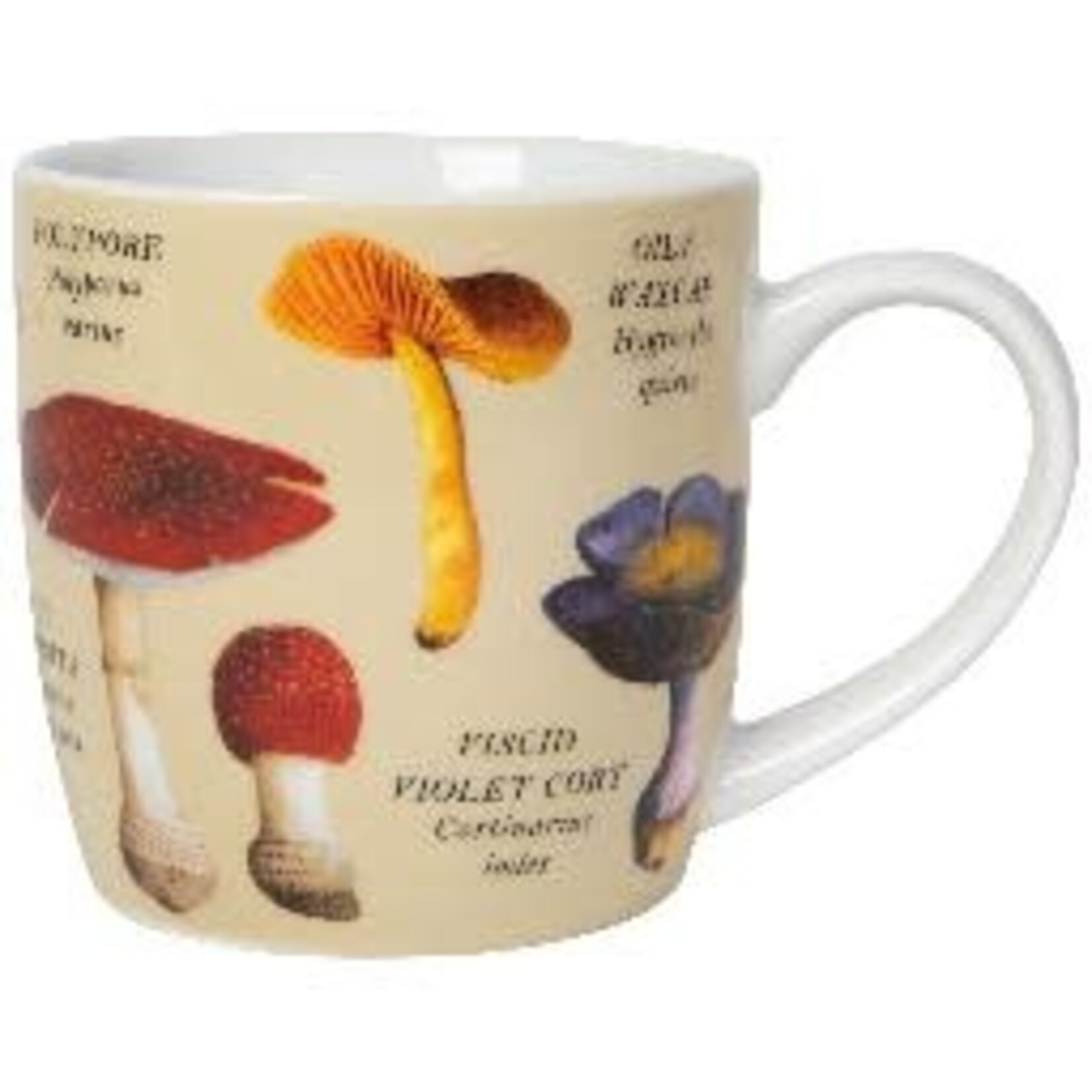 Danica Brands Mushrooms Mug | Danica Brands