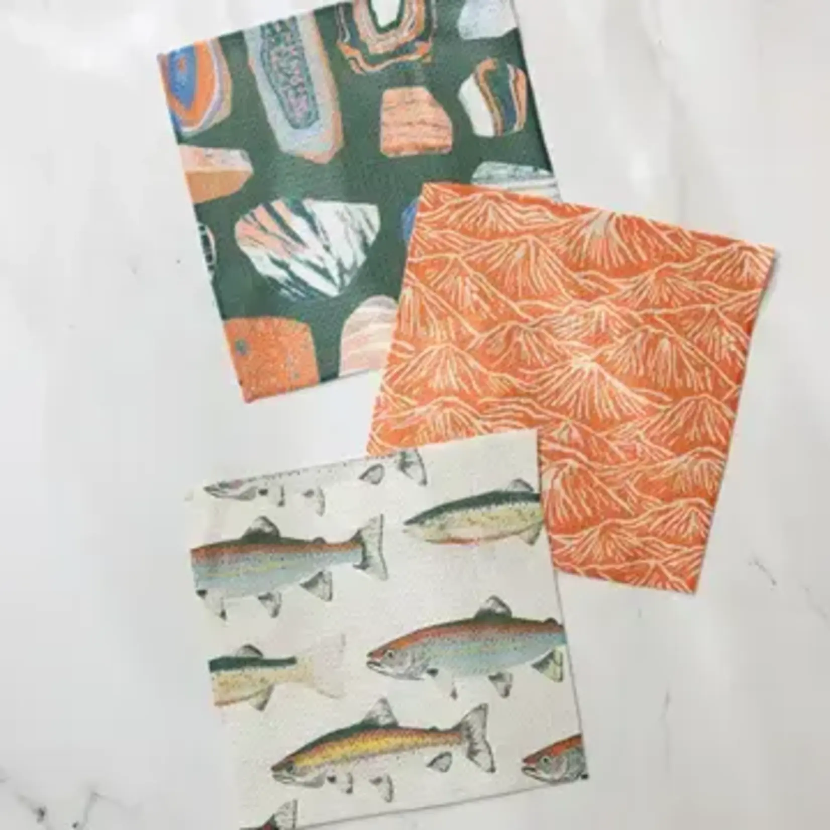 Geometry Happy Camper Dishcloth Set