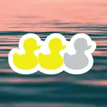 Minnesota Awesome Duck Duck Grey Duck Vinyl Sticker | Minnesota Awesome