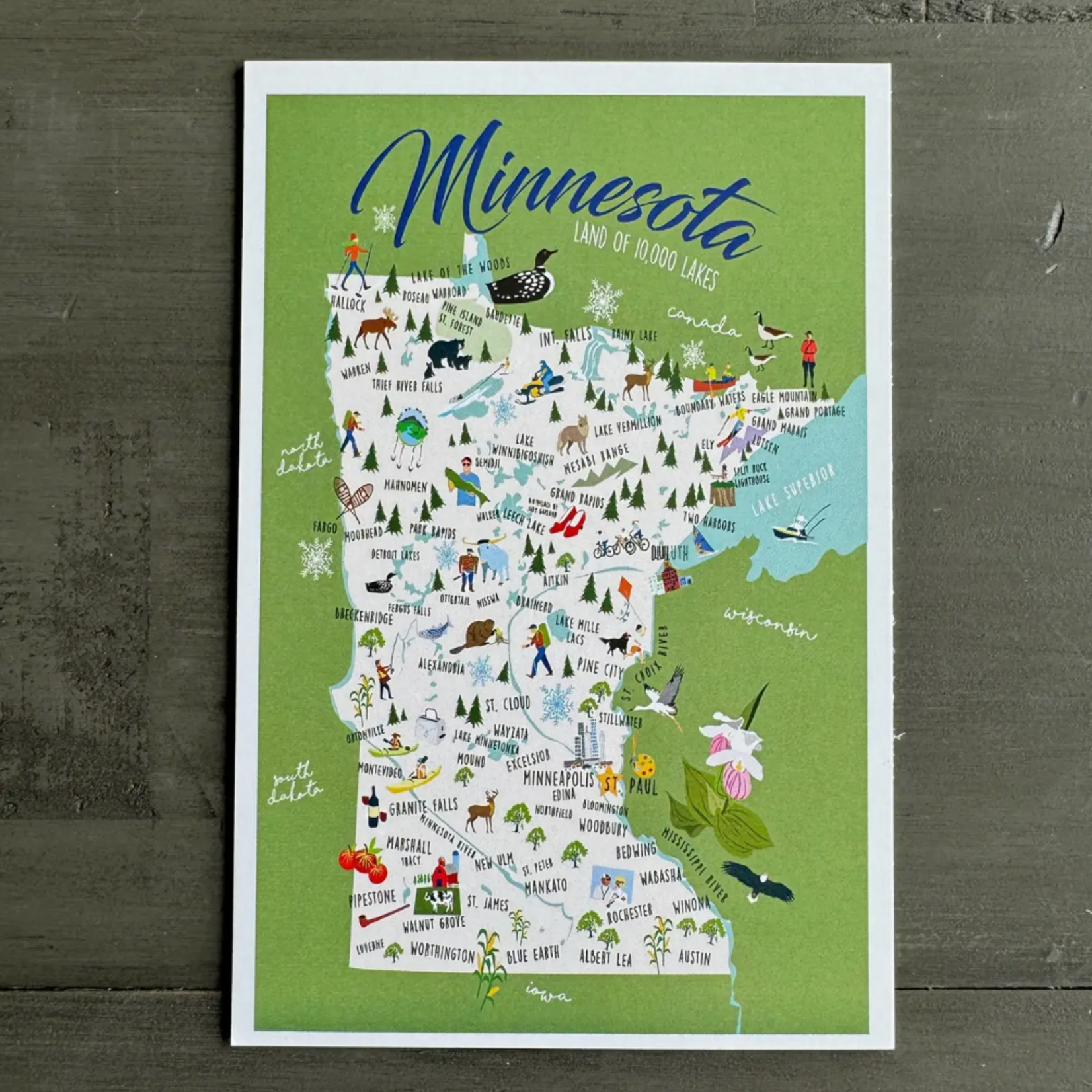 Galleyware Minnesota 4x6 Postcard | Galleyware