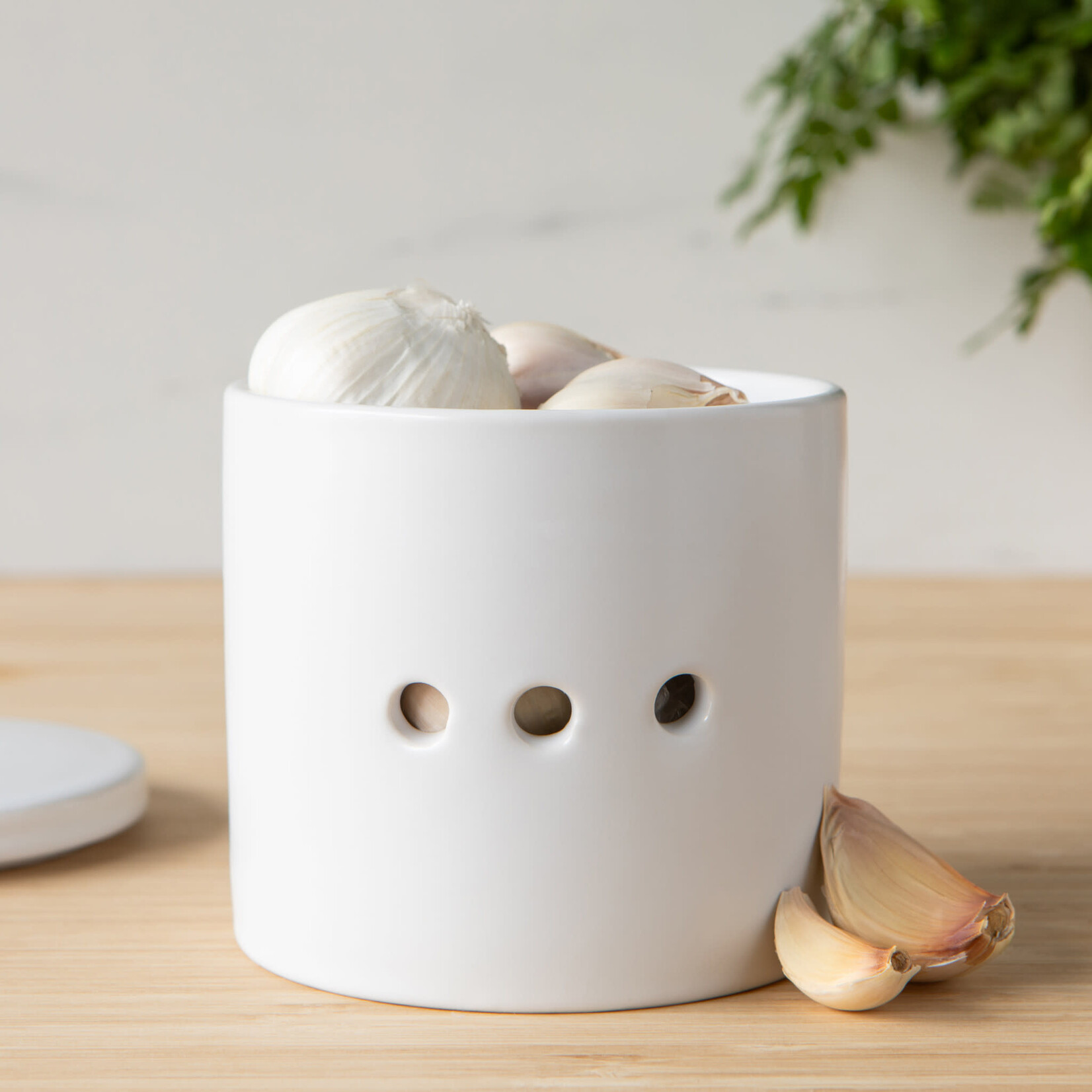 Danica Brands Garlic Keeper - Matte White | Danica Brands