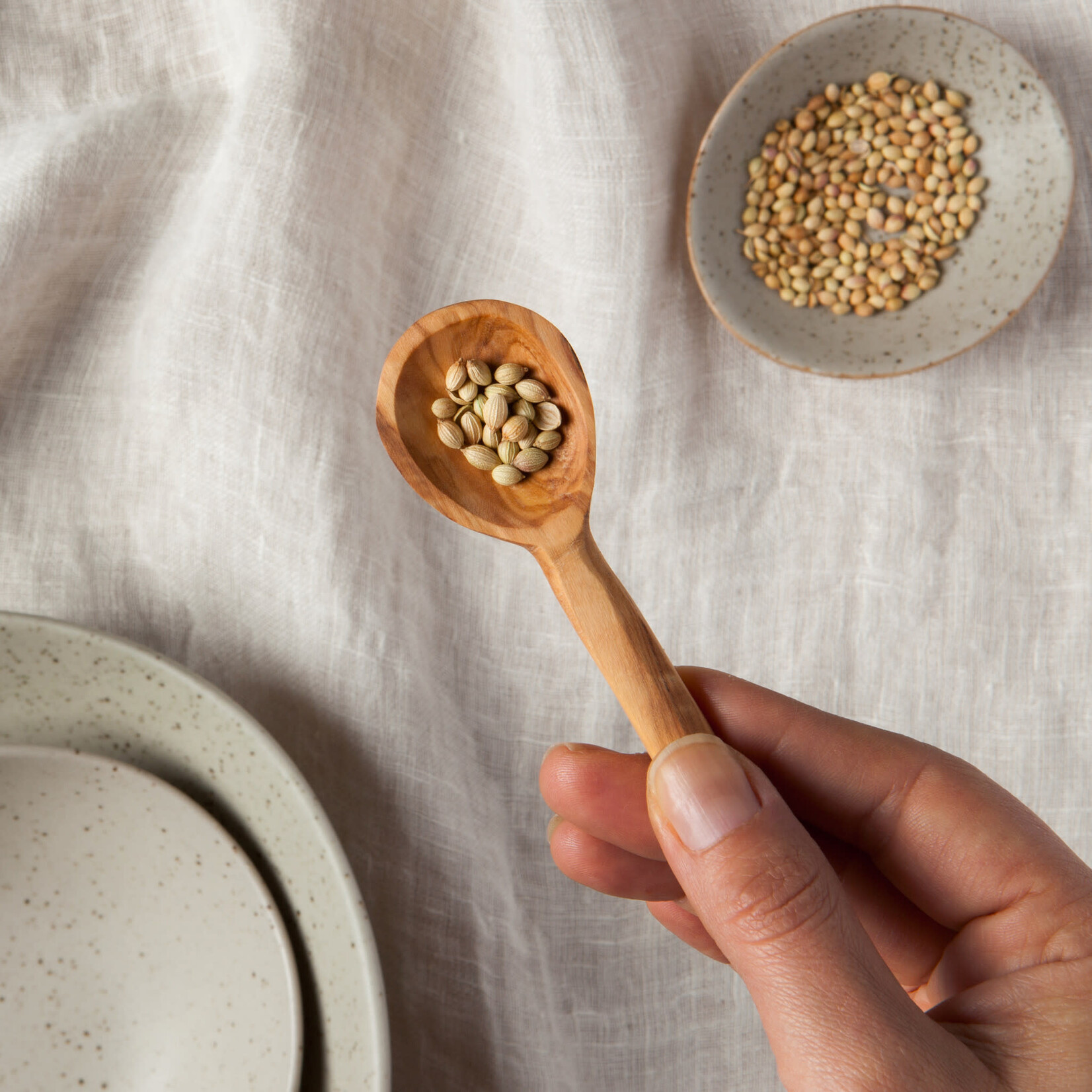 Danica Brands Spoon Small Olive Wood 4in | Danica Brands