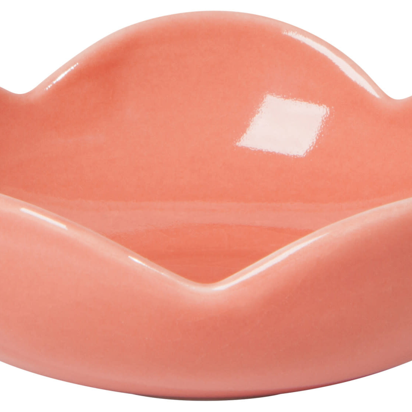 Danica Brands Dish Opus - Sienna | Danica Brands