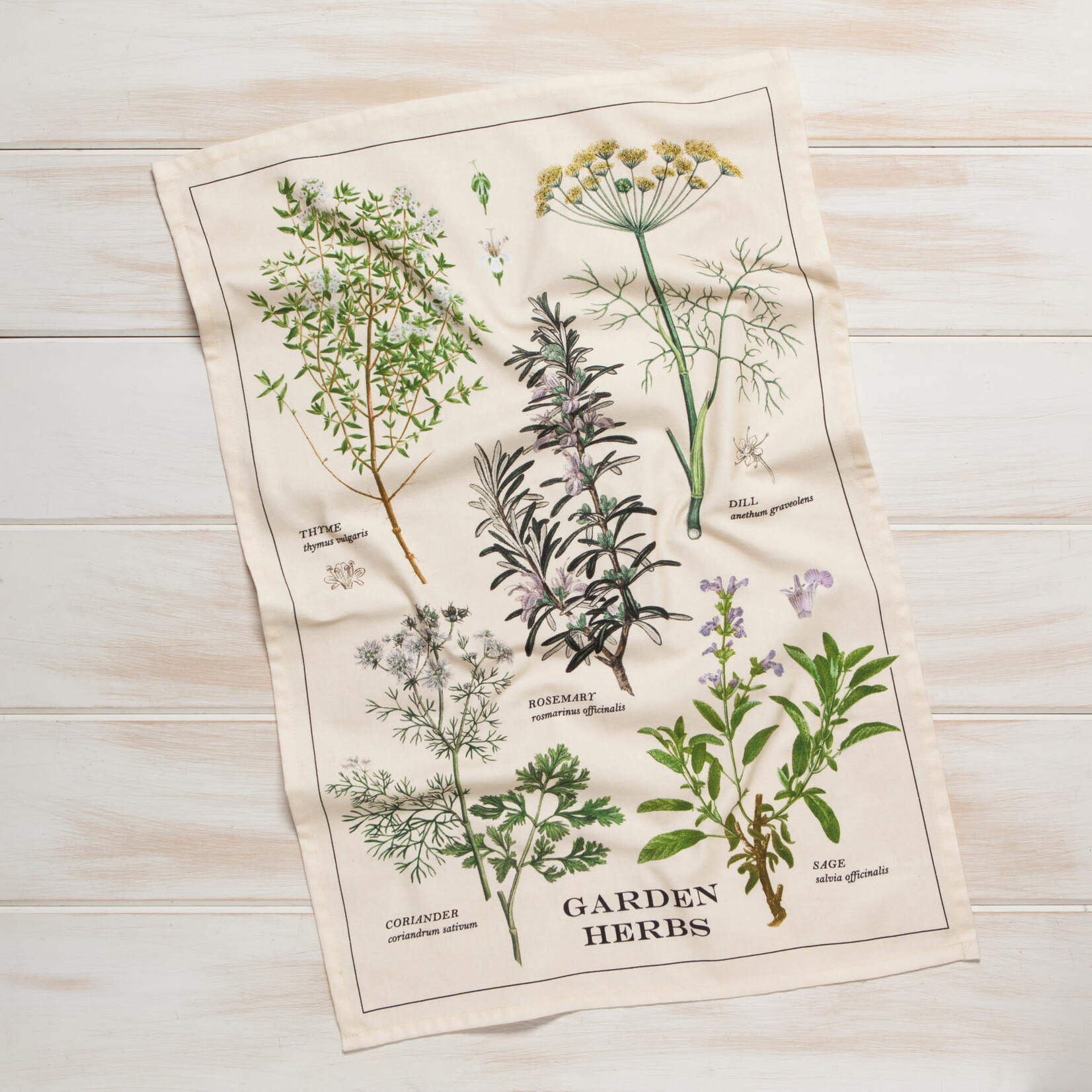 Danica Brands Dishtowel - Garden Herbs | Danica Brands