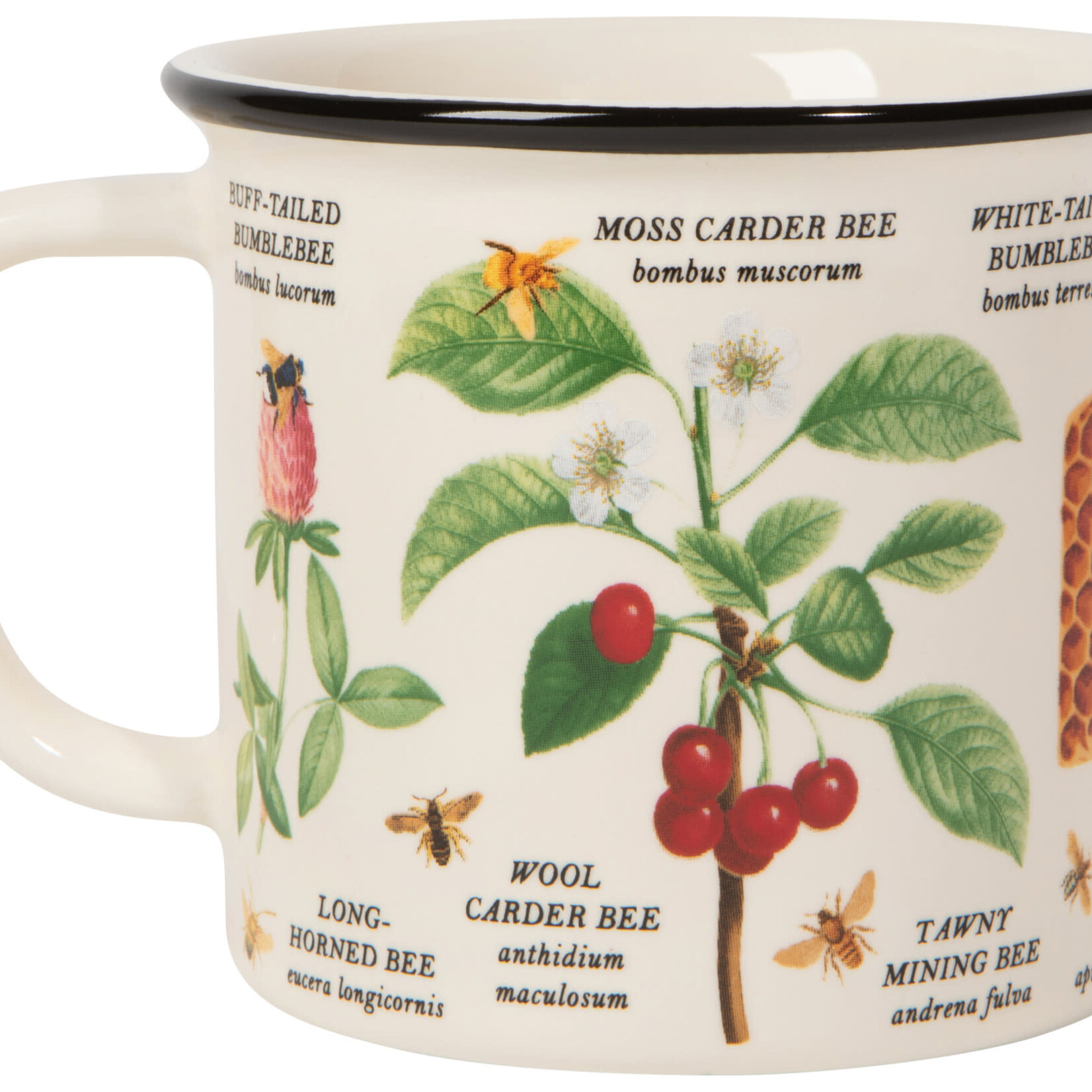 Danica Brands Mug - Heritage Bee Varieties | Danica Brands