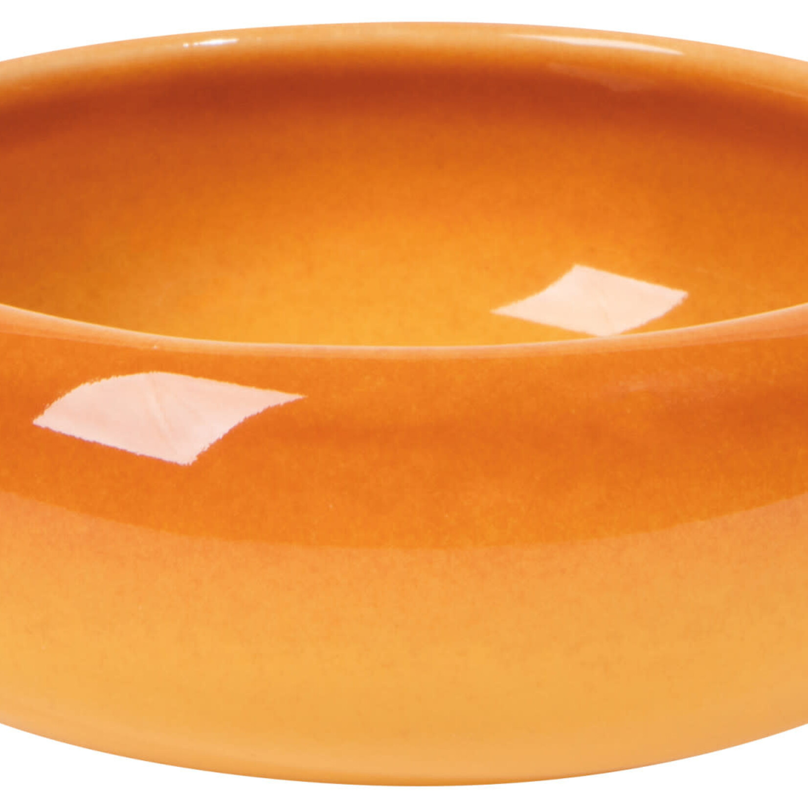Danica Brands Dish - Opus Canyon | Danica Brands