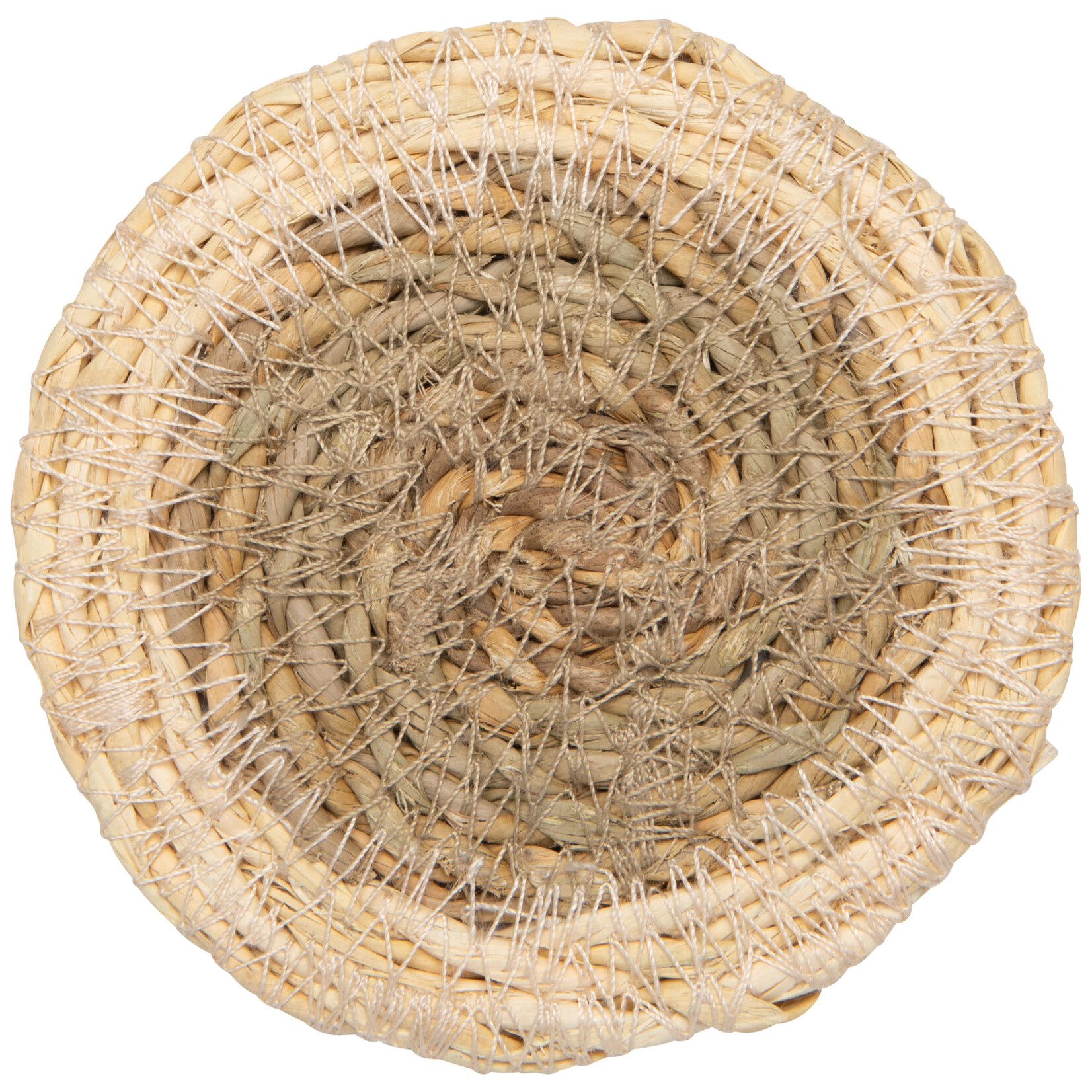 Danica Brands Coaster - Set/4 Seagrass White | Danica Brands