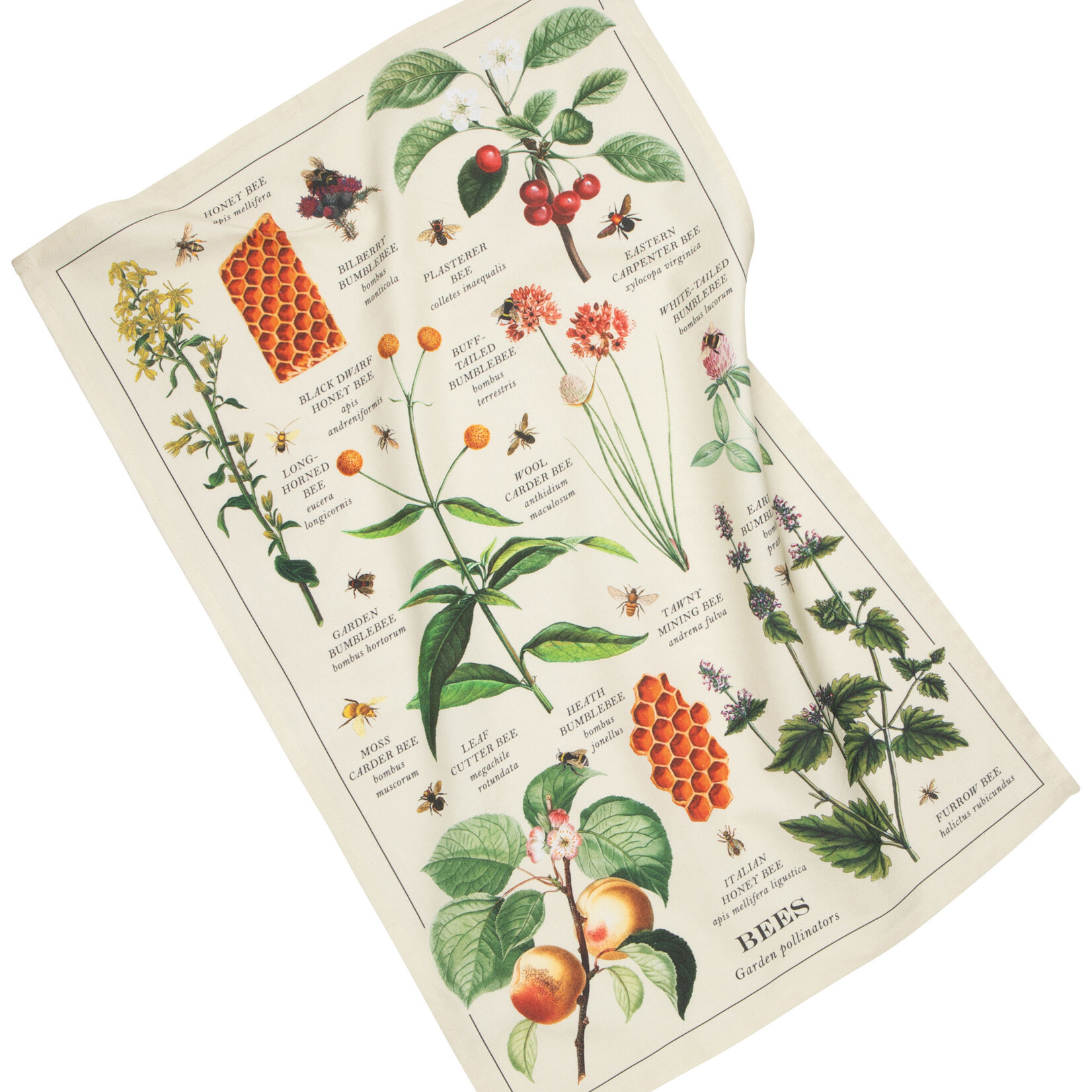 Danica Brands Tea Towel - Fine Prnt Bee Varieties | Danica Brands
