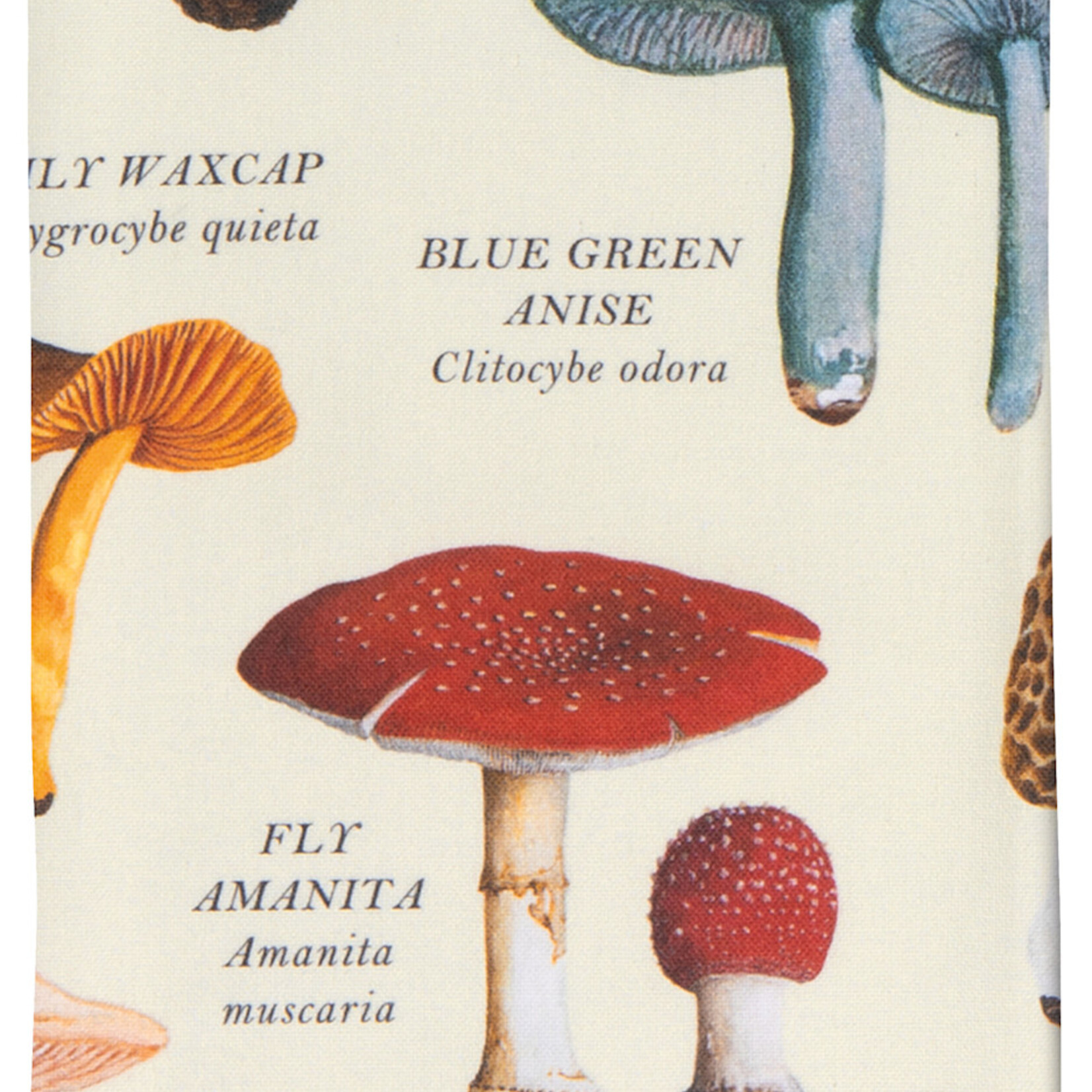 Danica Brands Dishtowel - Mushrooms Fine Print | Danica Brands
