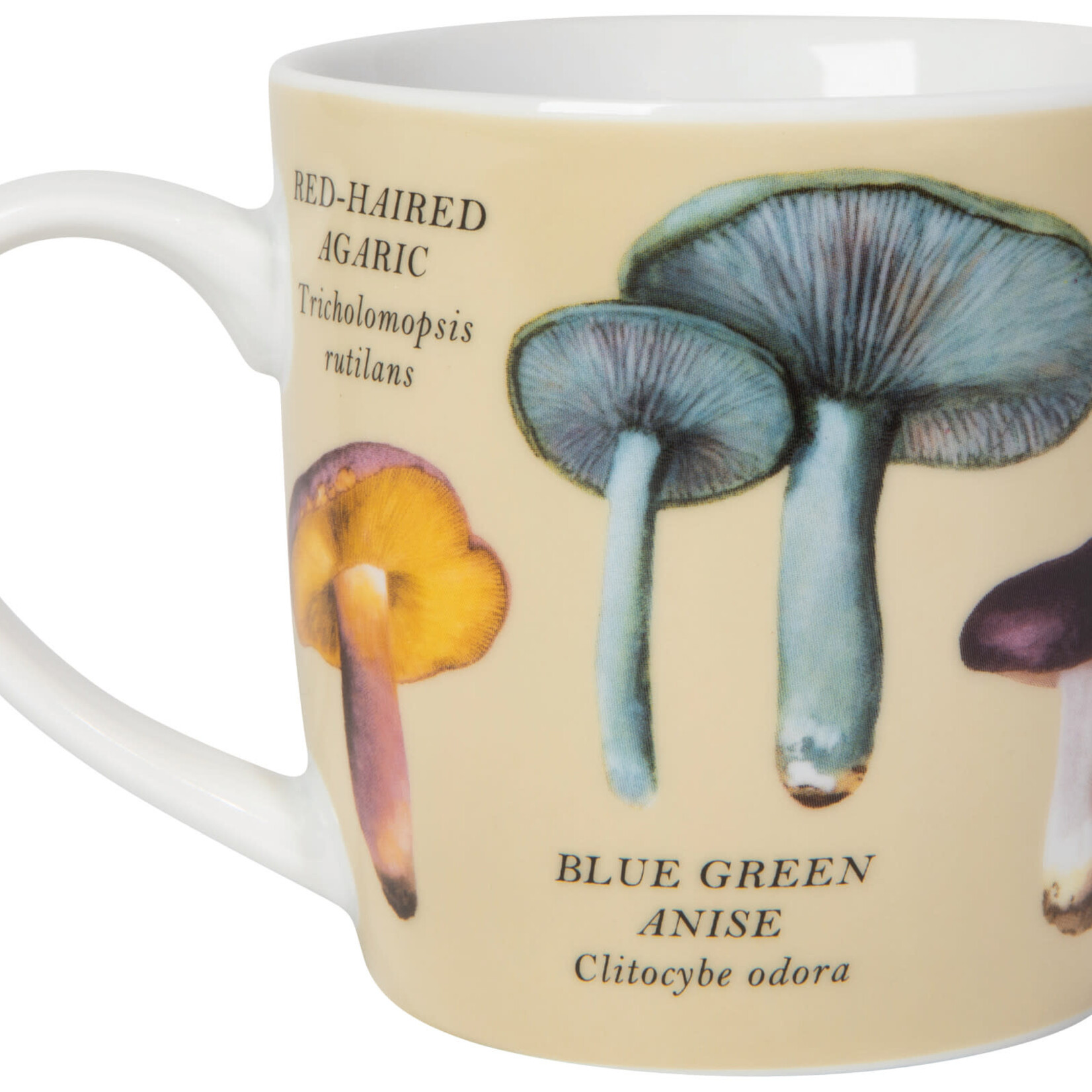 Danica Brands Mug - Mushrooms | Danica Brands
