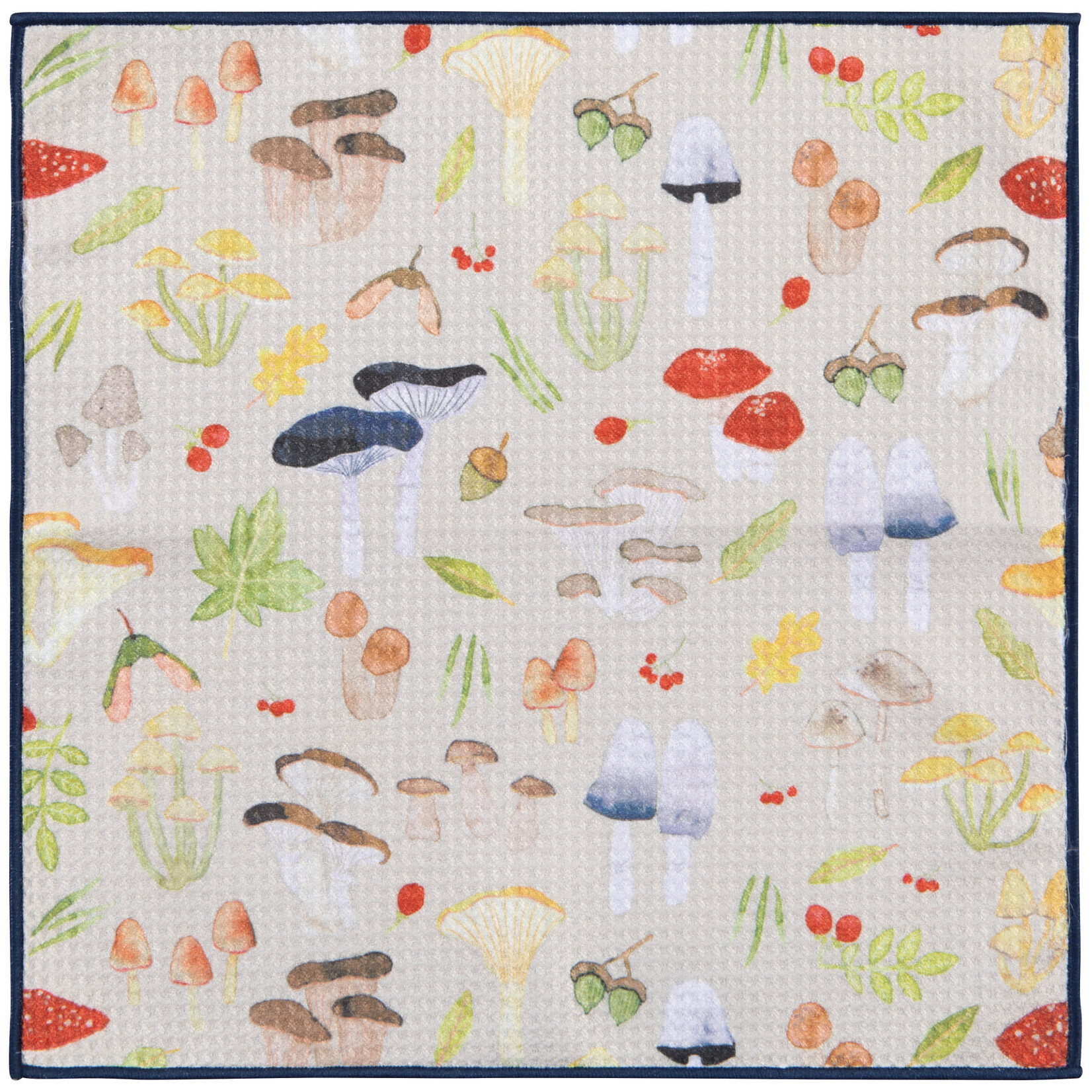 Danica Brands Dishcloth Set/2 - Renew Field Mushrooms | Danica Brands