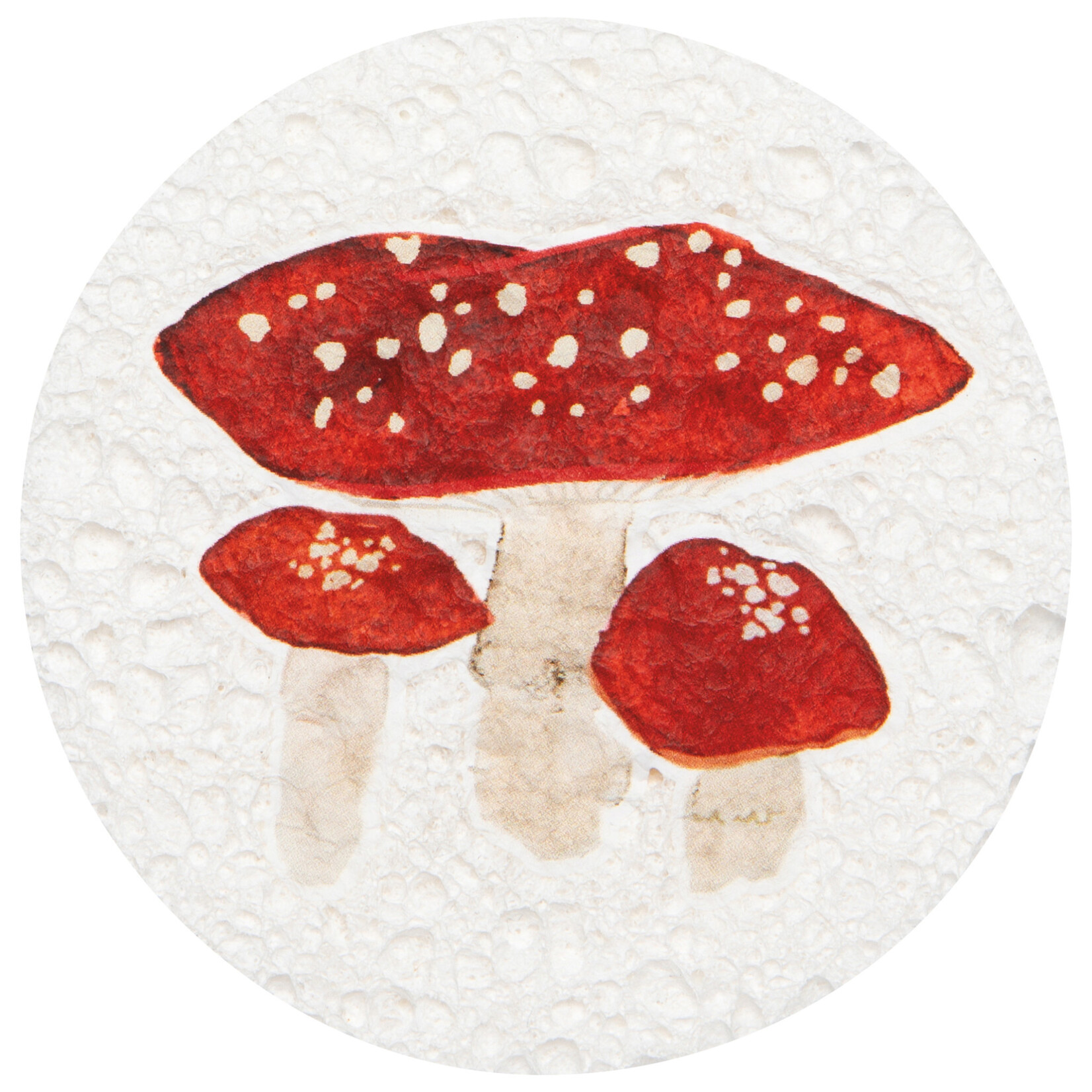 Danica Brands Sponge - Autumn Bounty | Danica Brands