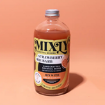 Mixly Strawberry Rhubarb Cocktail / Mocktail Beverage Mixer 16oz