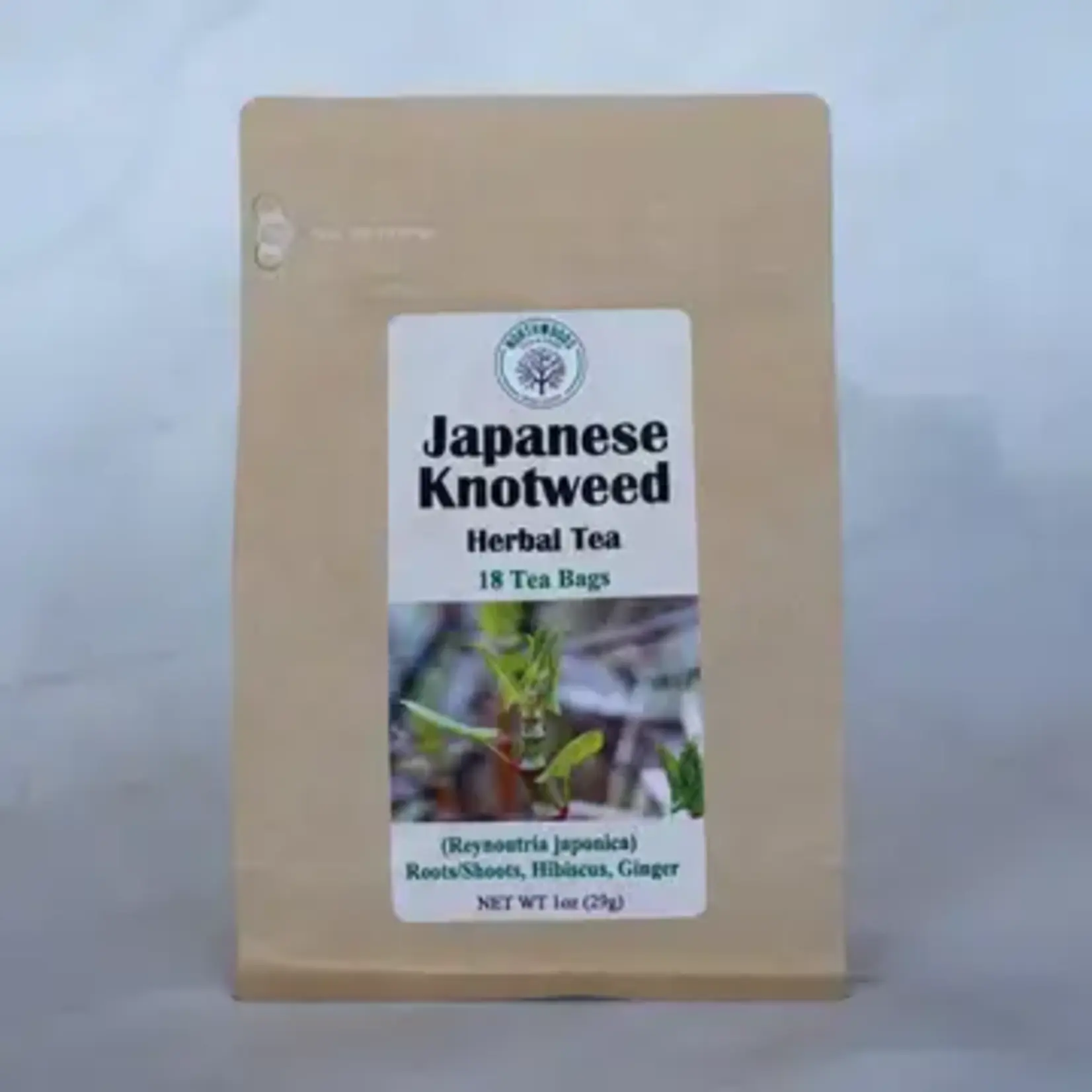 Northwoods Tea & Herb Japanese Knotweed | Northwoods Tea & Herb