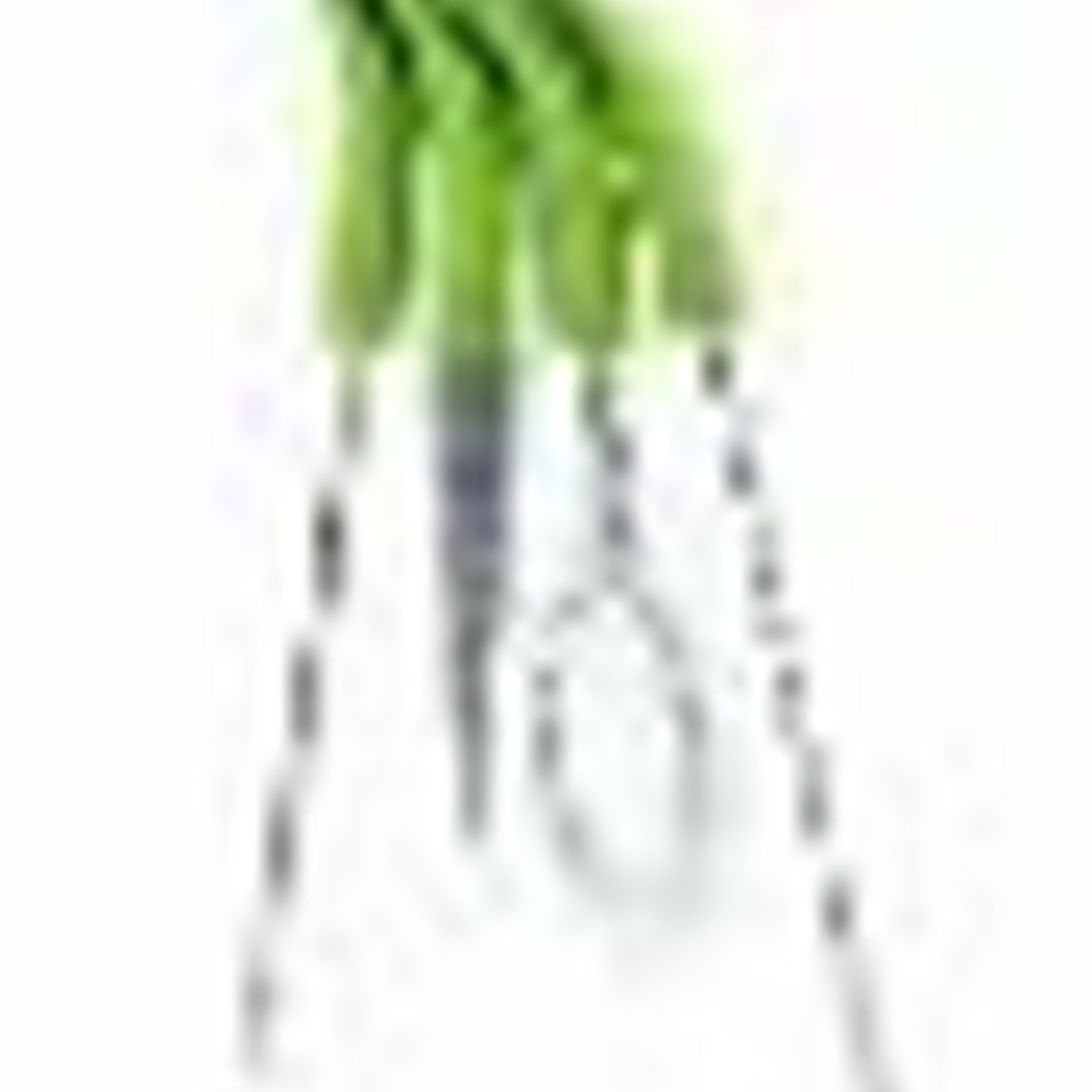 Full Circle All-in-One Bottle Cleaning Multitool, Green | Full Circle