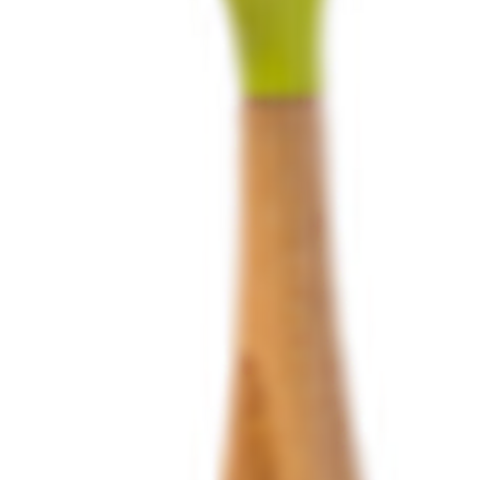 Full Circle The Daily Dish Brush, Green | Full Circle