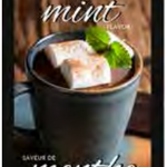 Gourmet Village Cocoa Packet - Mint