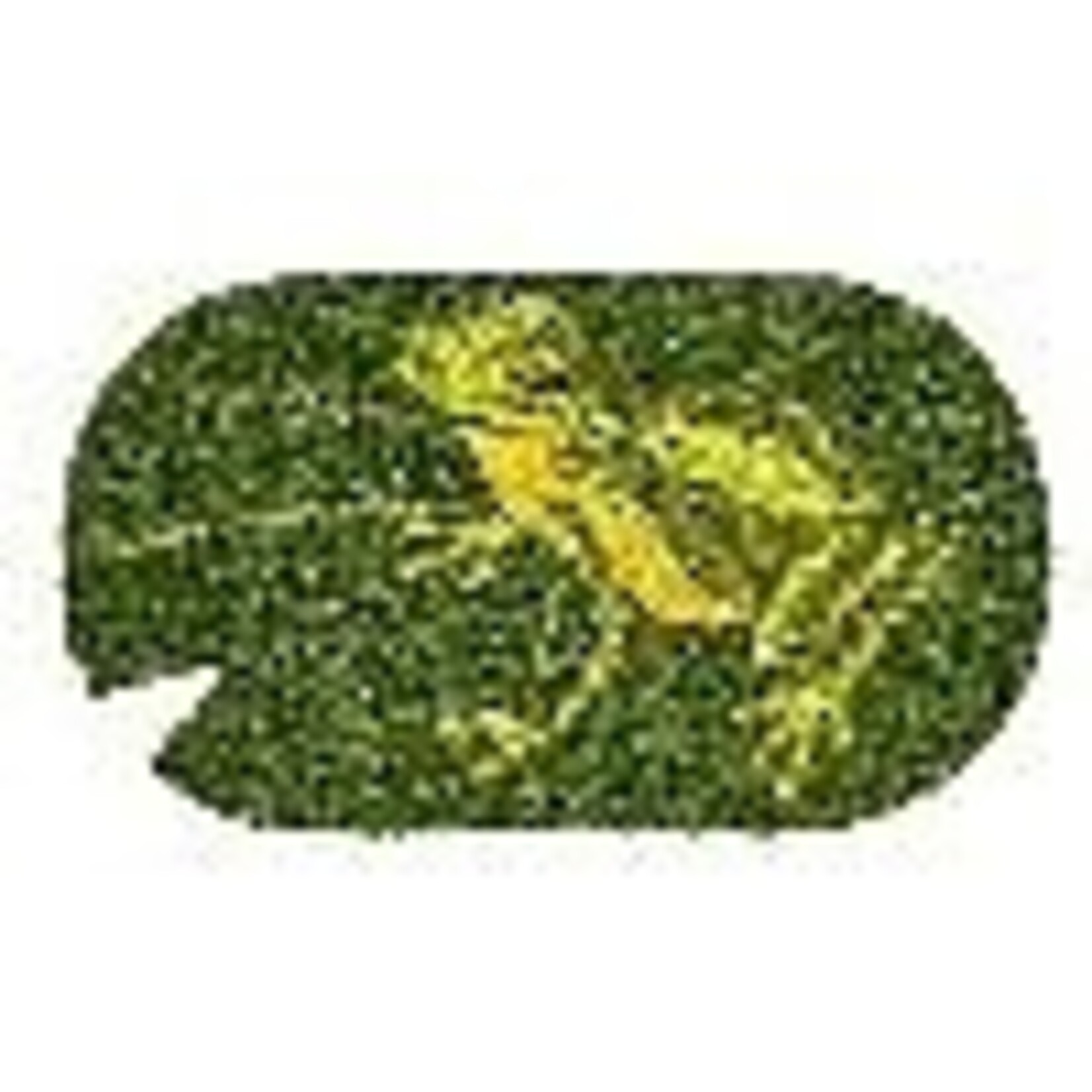 Tag Non-Slip Coir Mat - Frog on Lily Pad (Shaped) | Tag