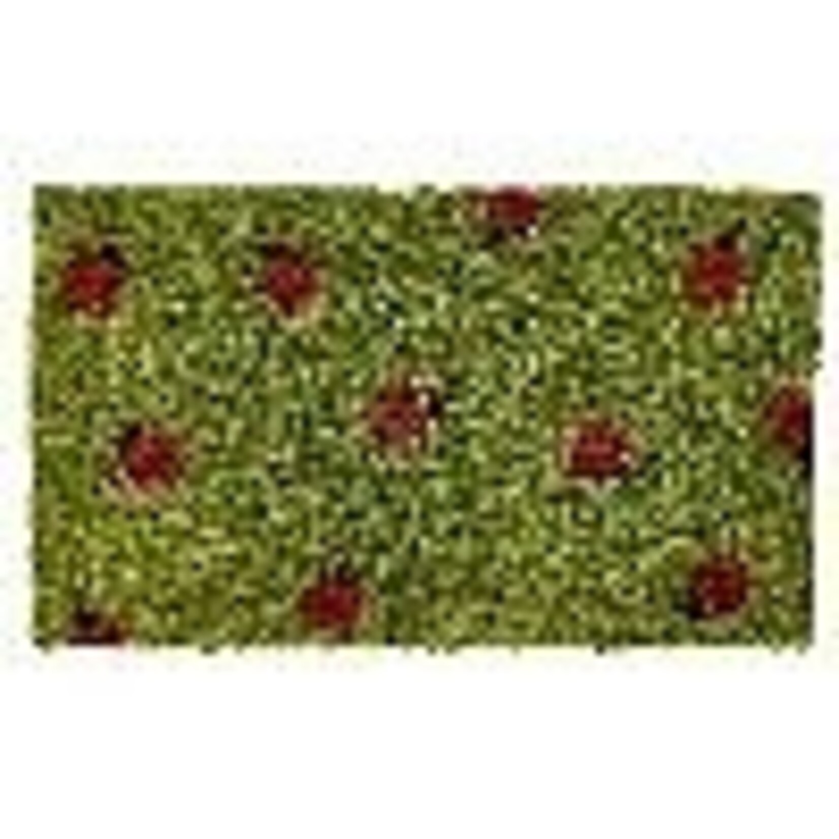 Tag Coir Mat - Ladybug | Tag