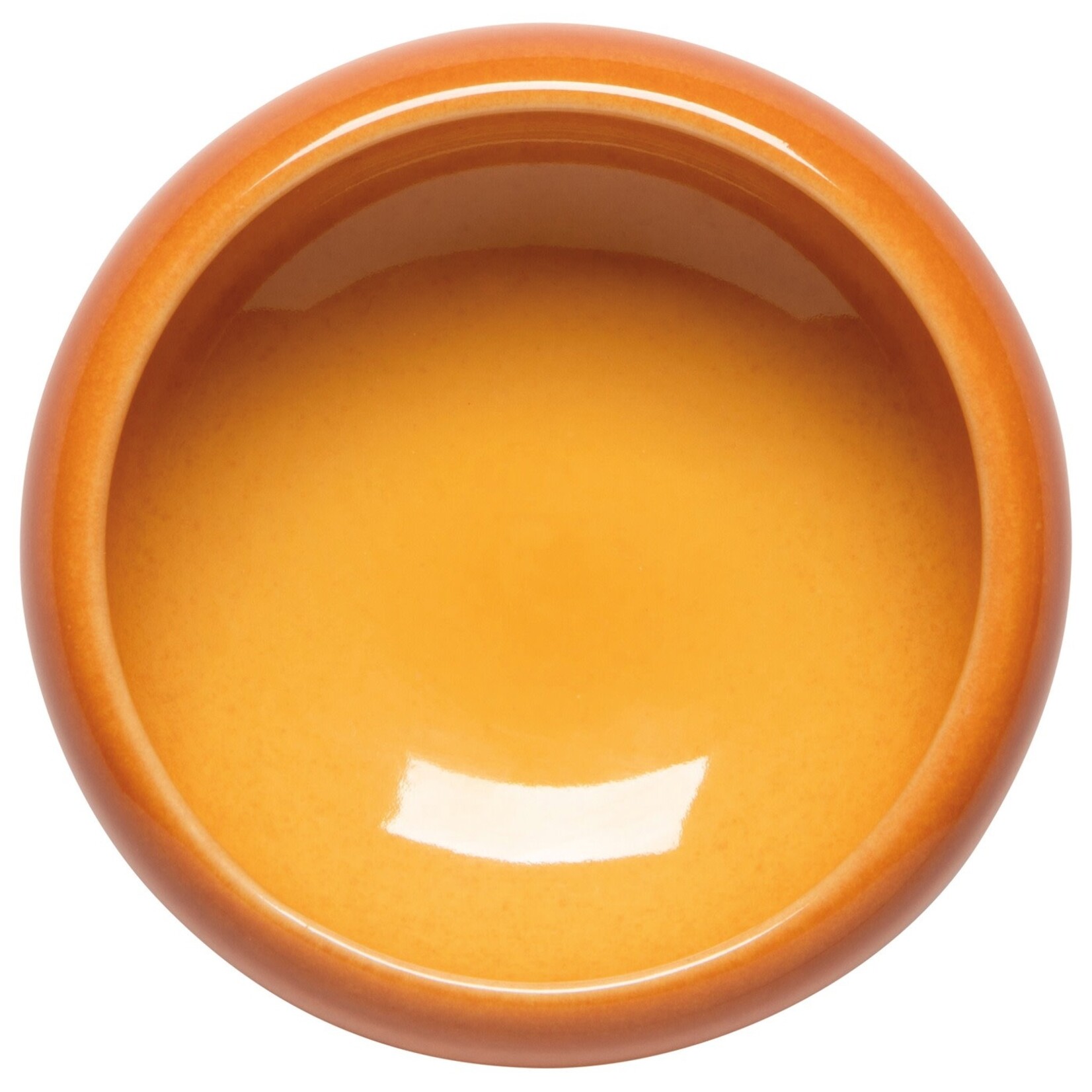 Danica Brands Dish - Opus Canyon