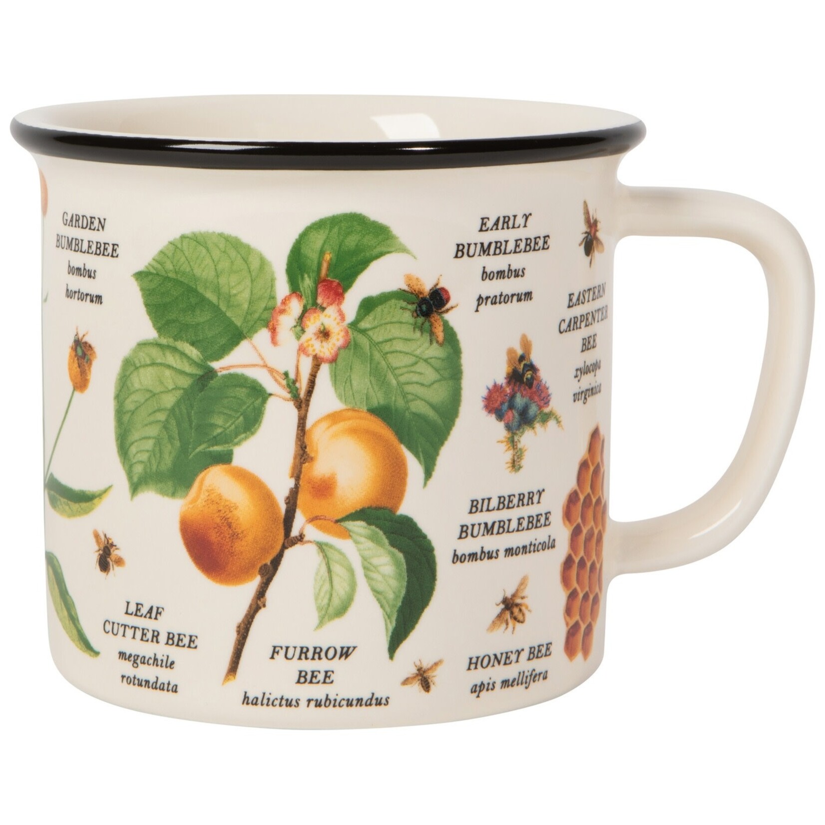 Danica Brands Mug - Heritage Bee Varieties