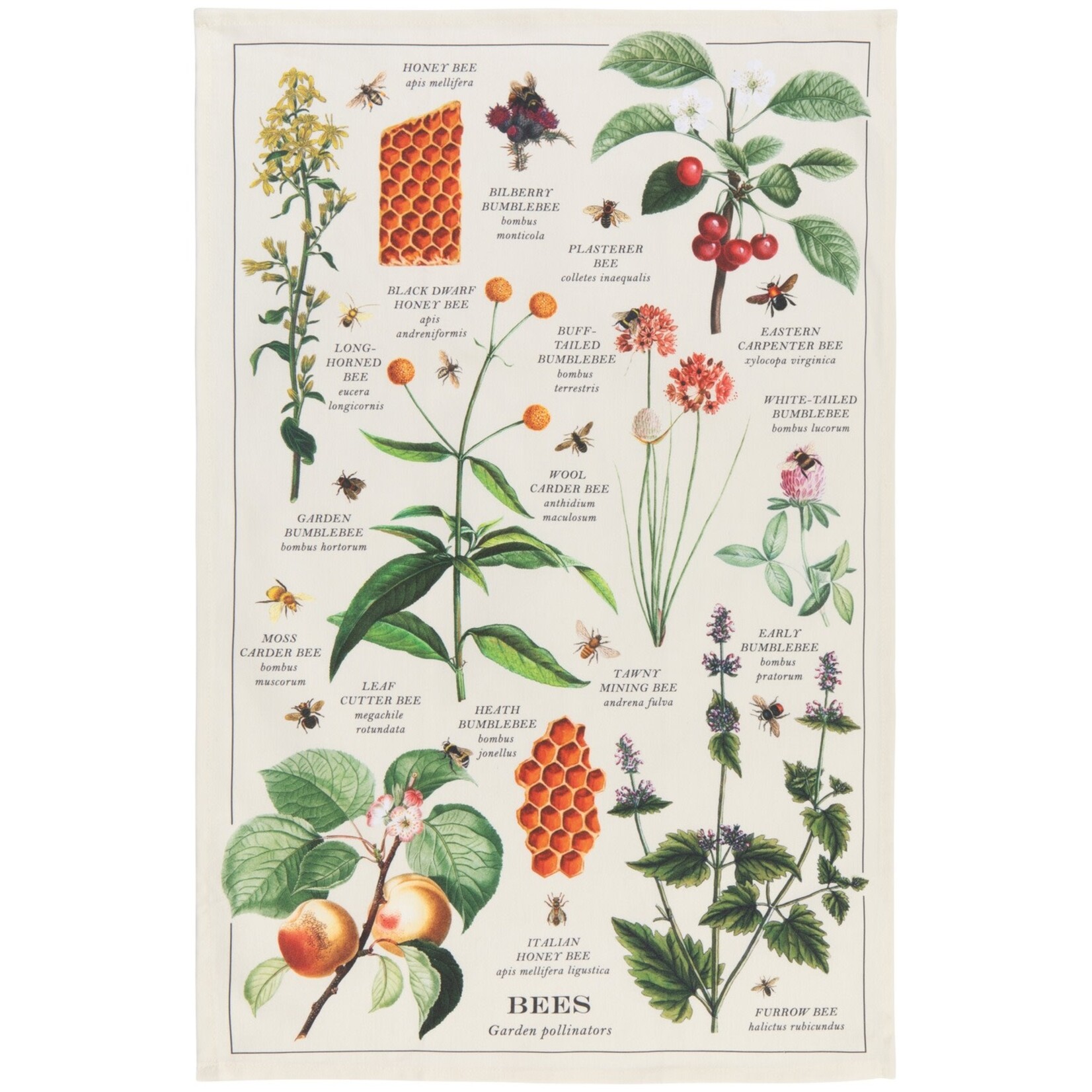 Danica Brands Tea Towel - Fine Prnt Bee Varieties | Danica Brands