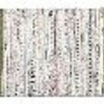 Tag Chindi Rug 2x3