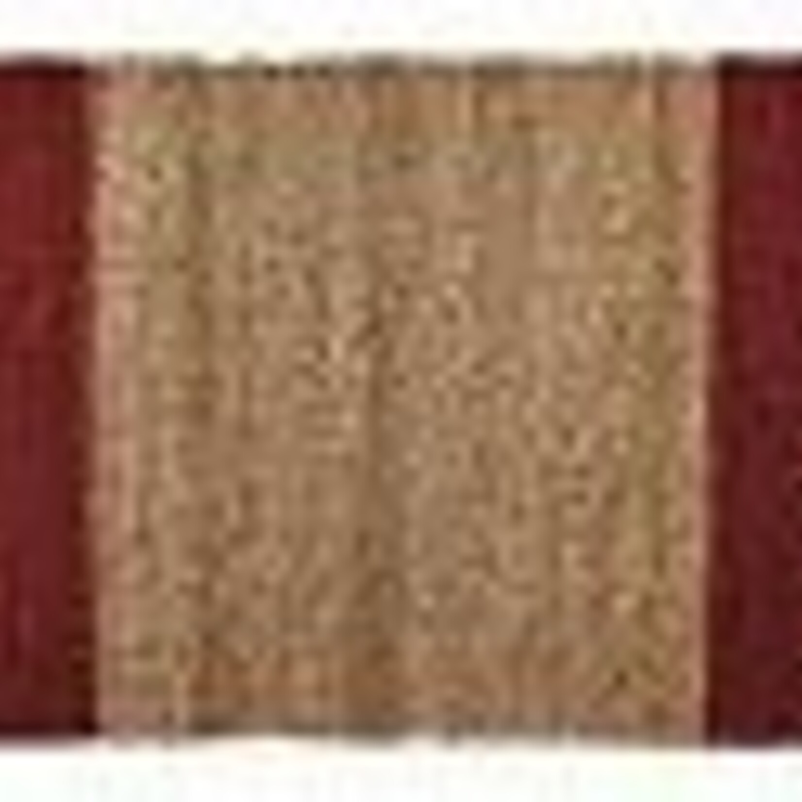 Tag Lalla Jute Border Stripe Rug