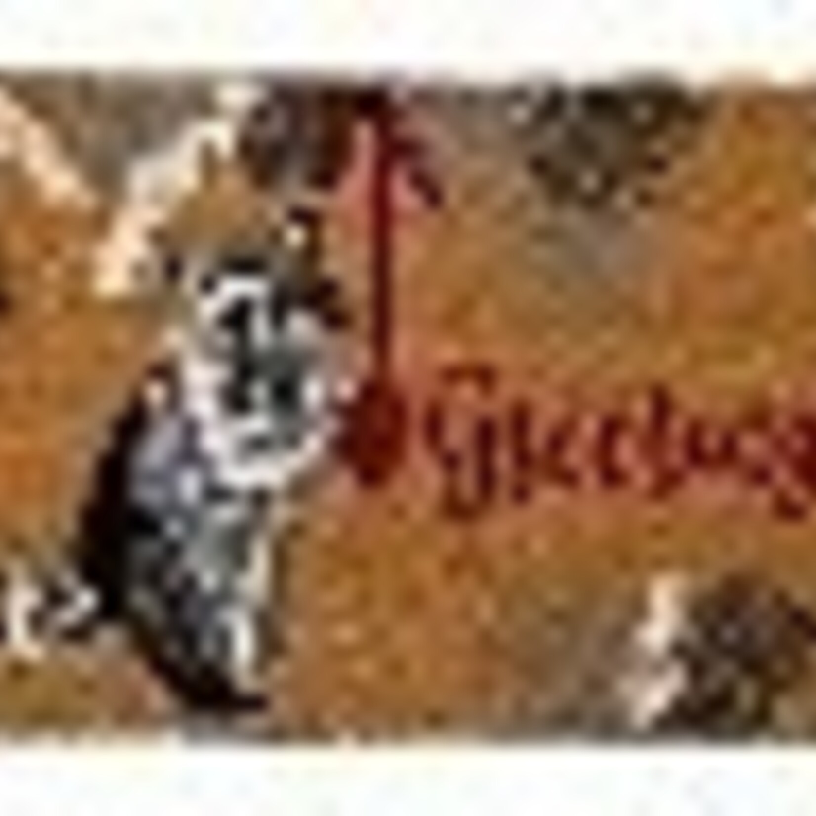 Tag Winter Sketch Raccoon Estate Coir Mat