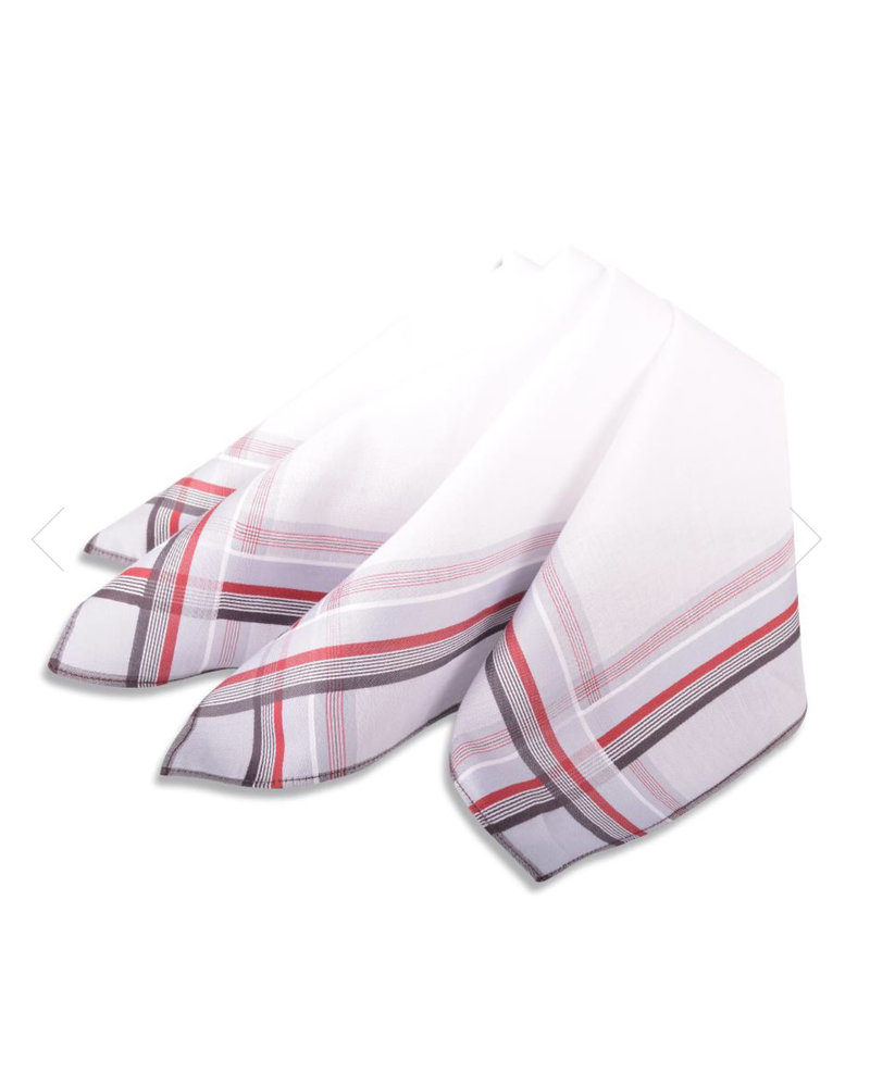 DION Mid Colour Striped Handkerchiefs