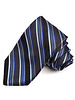 DION Navy Striped Silk Tie