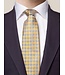 Taupe & Yellow Tie