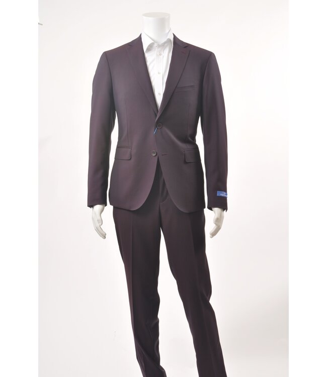 Slim Fit Aubergine Suit