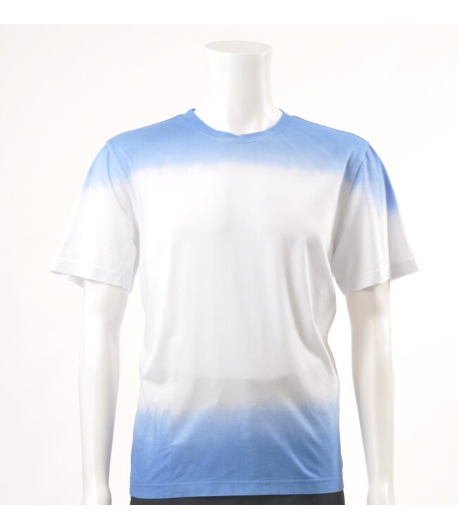 Blue White T-Shirt