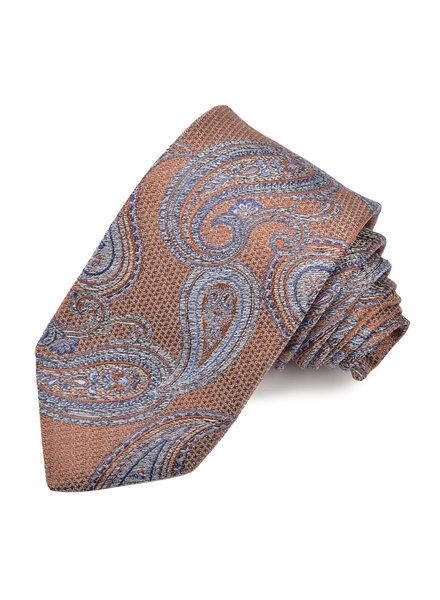 DION Brown Blue Paisley Tie