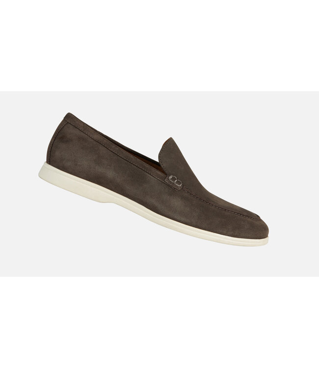 Dove Grey  Venzone Suede Shoes