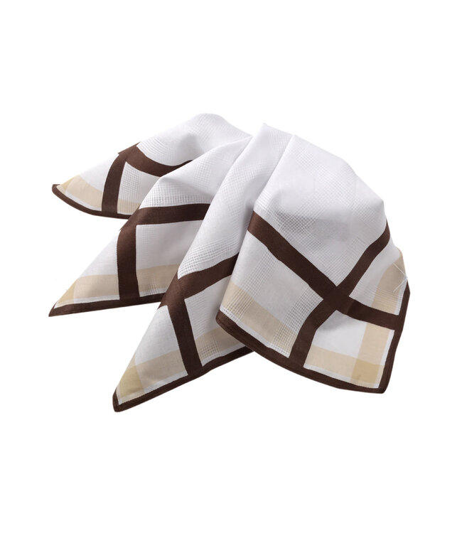 Wide Striped Handkerchiefs