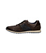 Dark Brown Thorello Sneakers