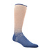 DION Tan Blue Socks